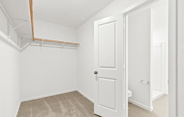 5206  Morgan Crst, San Antonio, TX 78253 — photo 15