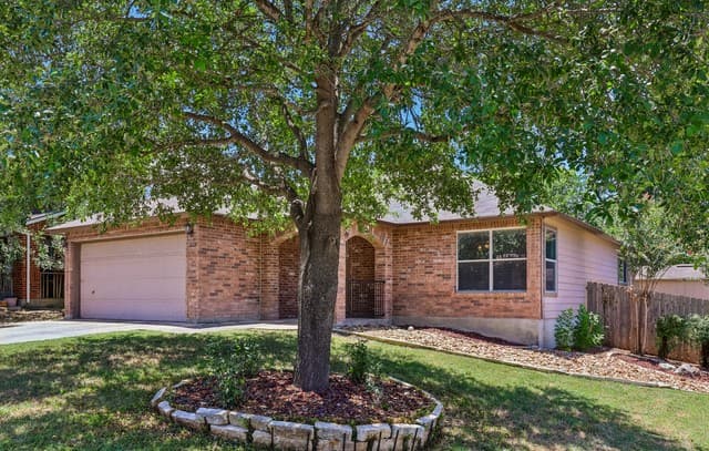 16751  Basin Oak