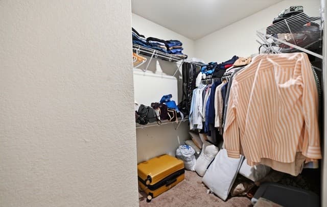 11815  Wolf Cyn, San Antonio, TX 78252 — photo 16