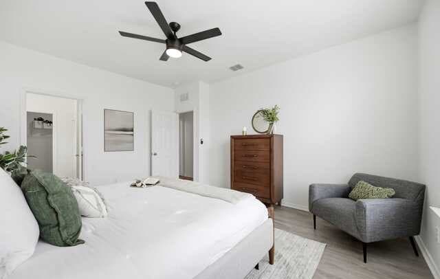 10318  McQueeney, San Antonio, TX 78252 — photo 16