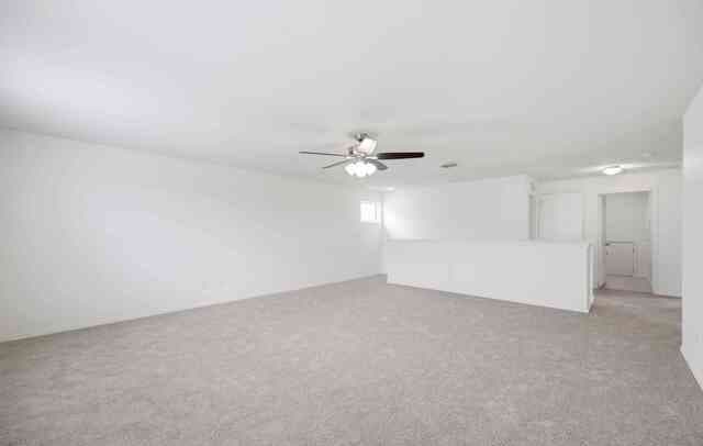 10318  McQueeney, San Antonio, TX 78252 — photo 24