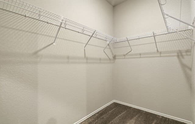 4614  Heathers Cross, St Hedwig, TX 78152 — photo 16