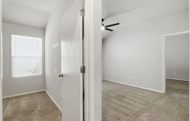 4614  Heathers Cross, St Hedwig, TX 78152 — photo 19