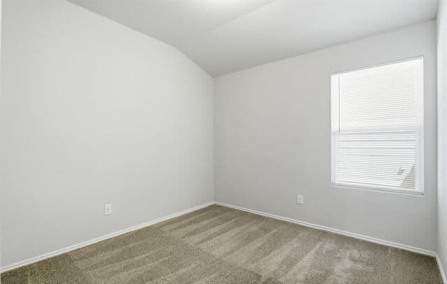 4614  Heathers Cross, St Hedwig, TX 78152 — photo 20