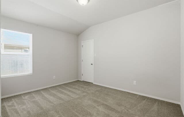 4614  Heathers Cross, St Hedwig, TX 78152 — photo 24