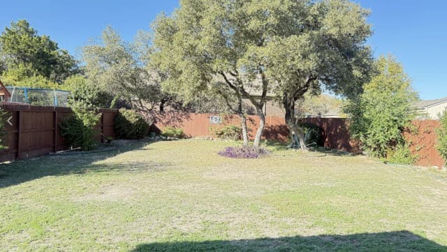 11715  Elijah Stapp, San Antonio, TX 78253 — photo 14