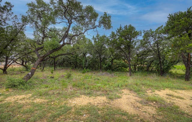 11240  Ensor St, Boerne, TX 78006 — photo 7
