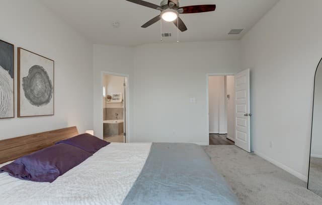 4807  Night Herder, St Hedwig, TX 78152 — photo 15