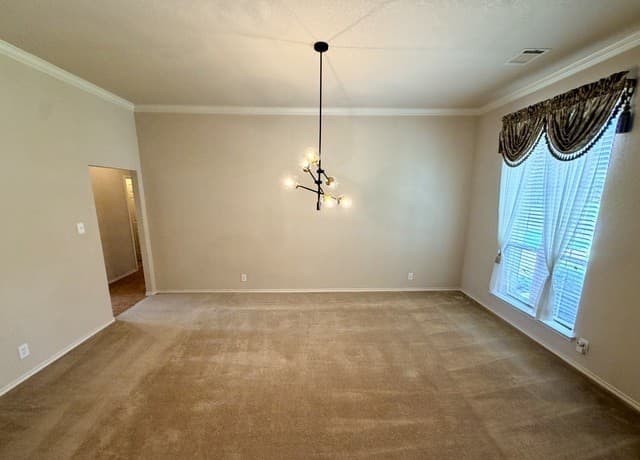 234  Gazelle Leap, San Antonio, TX 78258 — photo 9