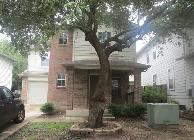 4914  Ancient Elm