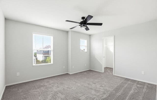 3146  Wild Iris, New Braunfels, TX 78130 — photo 21