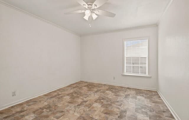 231  Cicero Dr, San Antonio, TX 78218 — photo 20