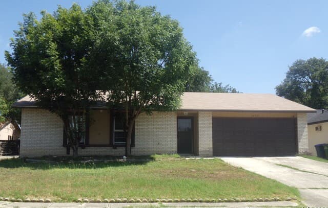 10511  Cherry Laurel