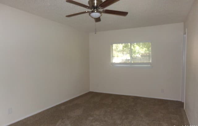 10511  Cherry Laurel, San Antonio, TX 78245 — photo 10