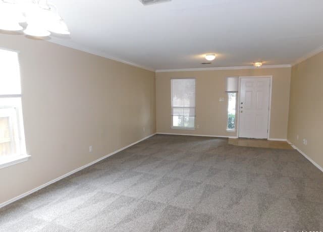 9013  Barkwood