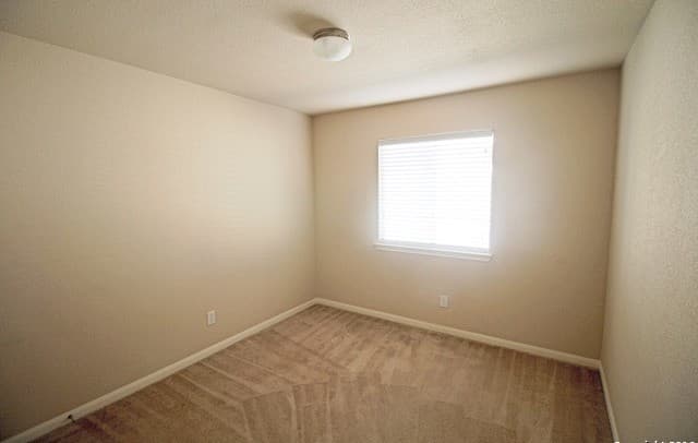 9135  Mare Hunt, San Antonio, TX 78254 — photo 18