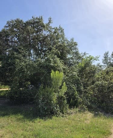 24283  Us Highway 281 S, San Antonio, TX 78264 — photo 18