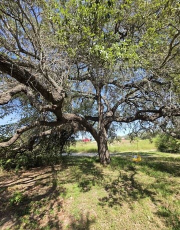 24283  Us Highway 281 S, San Antonio, TX 78264 — photo 21