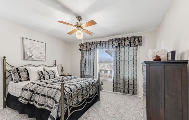 3635  Eagle Canyon Dr, San Antonio, TX 78247 — photo 19