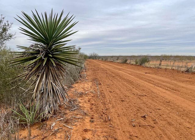 10.01 ACRES  CR 2701 and FM 140, Bigfoot, TX 78005