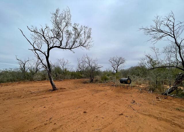 10.01 ACRES  CR 2701 and FM 140, Bigfoot, TX 78005 — photo 2