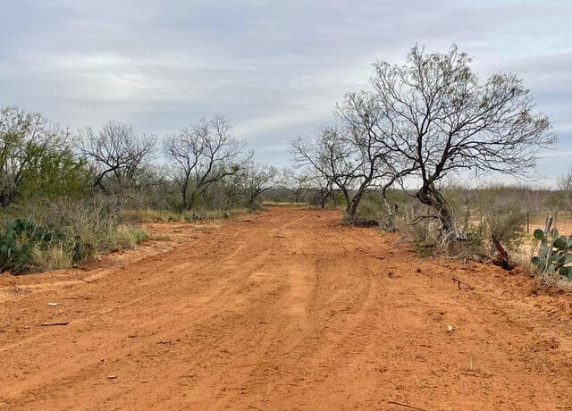 10.01 ACRES  CR 2701 and FM 140, Bigfoot, TX 78005 — photo 4