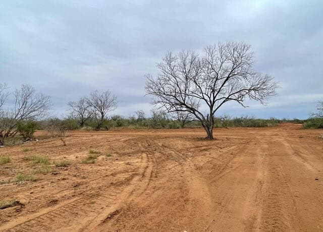 10.01 ACRES  CR 2701 and FM 140, Bigfoot, TX 78005 — photo 9