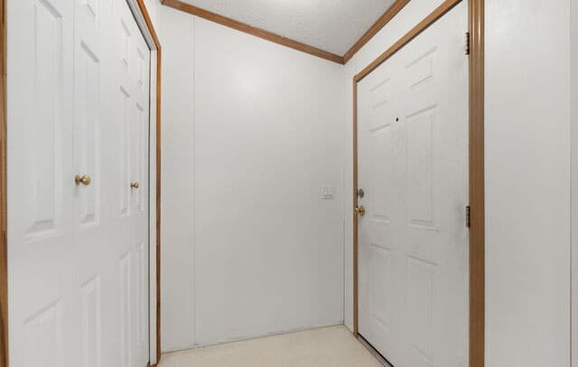 133  Oak View Dr, La Vernia, TX 78121 — photo 11