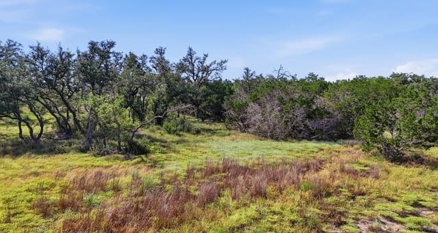 783  Tiswin Trl, Blanco, TX 78606 — photo 10