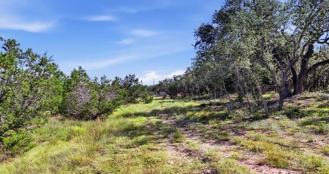 783  Tiswin Trl, Blanco, TX 78606 — photo 11