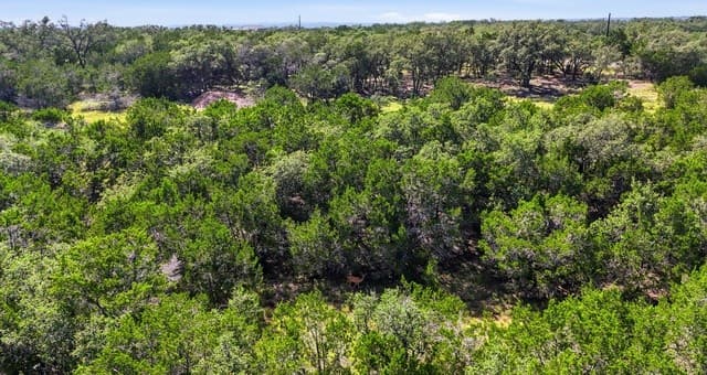 783  Tiswin Trl, Blanco, TX 78606 — photo 12