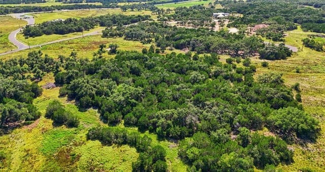 783  Tiswin Trl, Blanco, TX 78606 — photo 15
