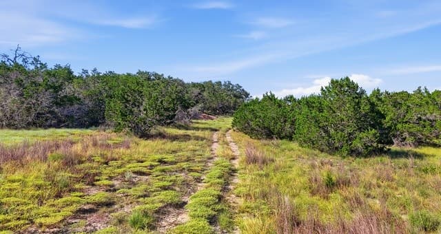 783  Tiswin Trl, Blanco, TX 78606 — photo 2