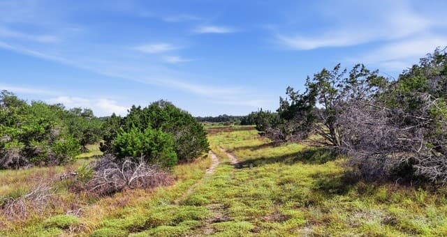 783  Tiswin Trl, Blanco, TX 78606 — photo 3