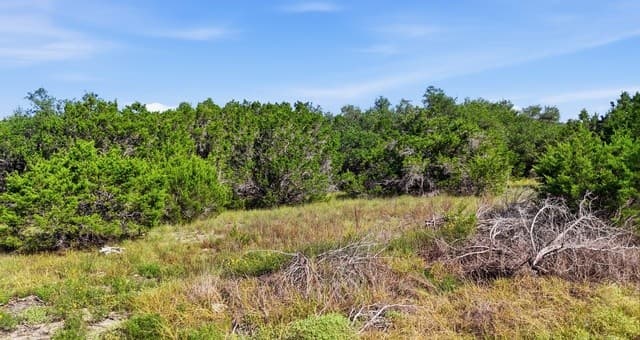 783  Tiswin Trl, Blanco, TX 78606 — photo 4