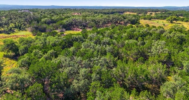 783  Tiswin Trl, Blanco, TX 78606 — photo 5