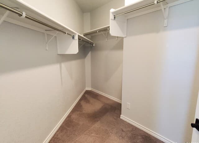 305  Dakota Crk, New Braunfels, TX 78130 — photo 18