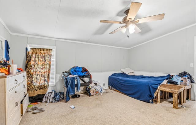 6714  Fm 536, Floresville, TX 78114 — photo 21