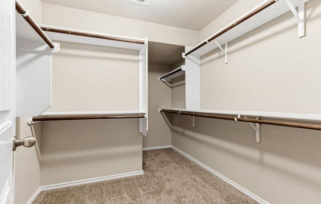 10213  Metz Valley, Schertz, TX 78154 — photo 23