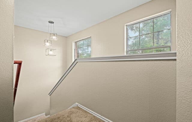 8434  Shooting Quail, San Antonio, TX 78250 — photo 14