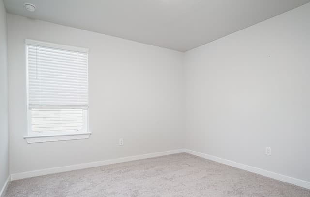 240  Brook Shadow, Cibolo, TX 78108 — photo 20