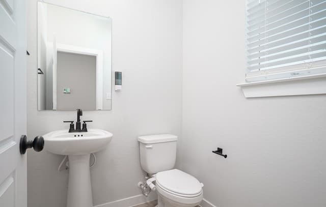 240  Brook Shadow, Cibolo, TX 78108 — photo 4