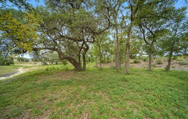 LOT 18 BLK 7  Barreal, Boerne, TX 78006 — photo 11
