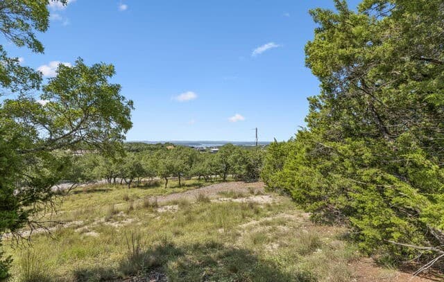 194  Night Hawk Ln, Canyon Lake, TX 78133 — photo 9