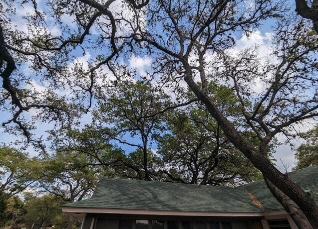 2818  Whisper Fawn St, San Antonio, TX 78230 — photo 3