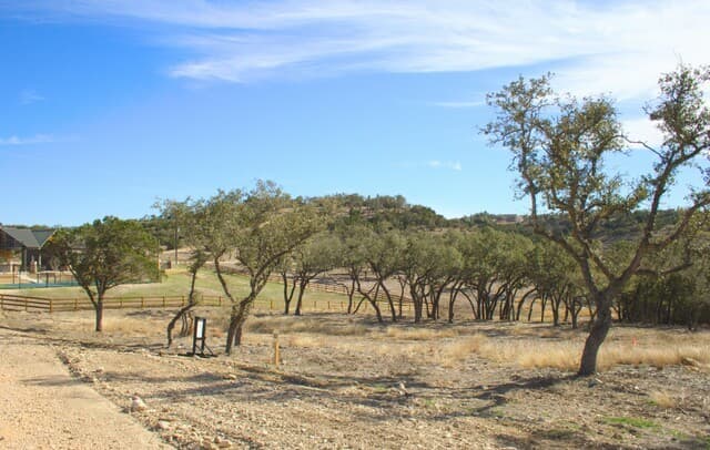 315  Canyon Terrace Dr., Canyon Lake, TX 78133 — photo 5