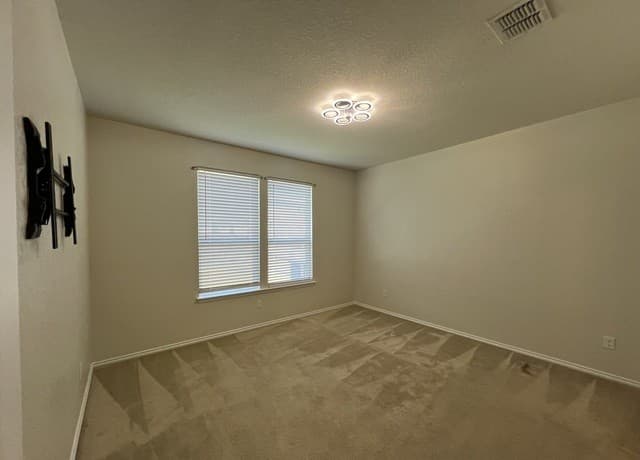 338  Mistflower, New Braunfels, TX 78130 — photo 13
