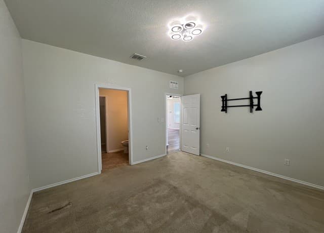 338  Mistflower, New Braunfels, TX 78130 — photo 14