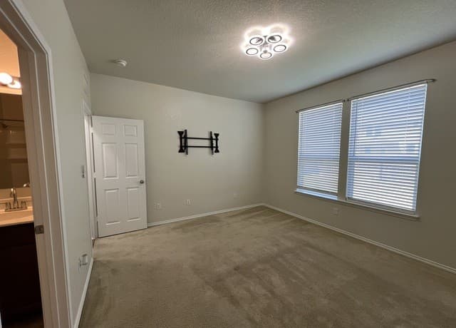338  Mistflower, New Braunfels, TX 78130 — photo 18