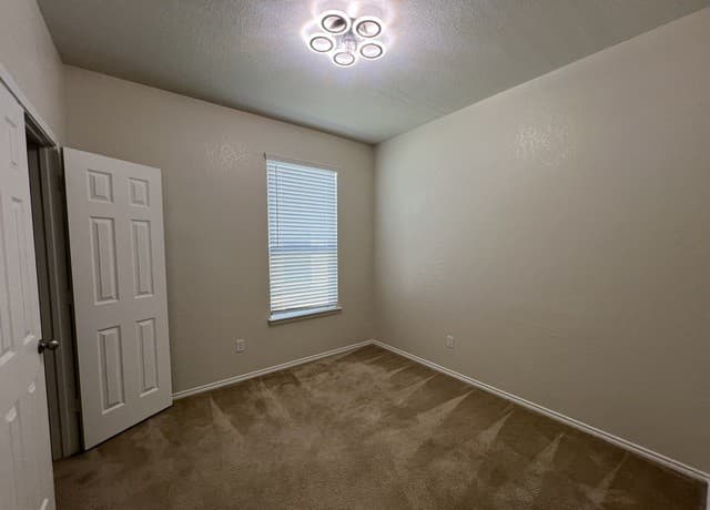 338  Mistflower, New Braunfels, TX 78130 — photo 22